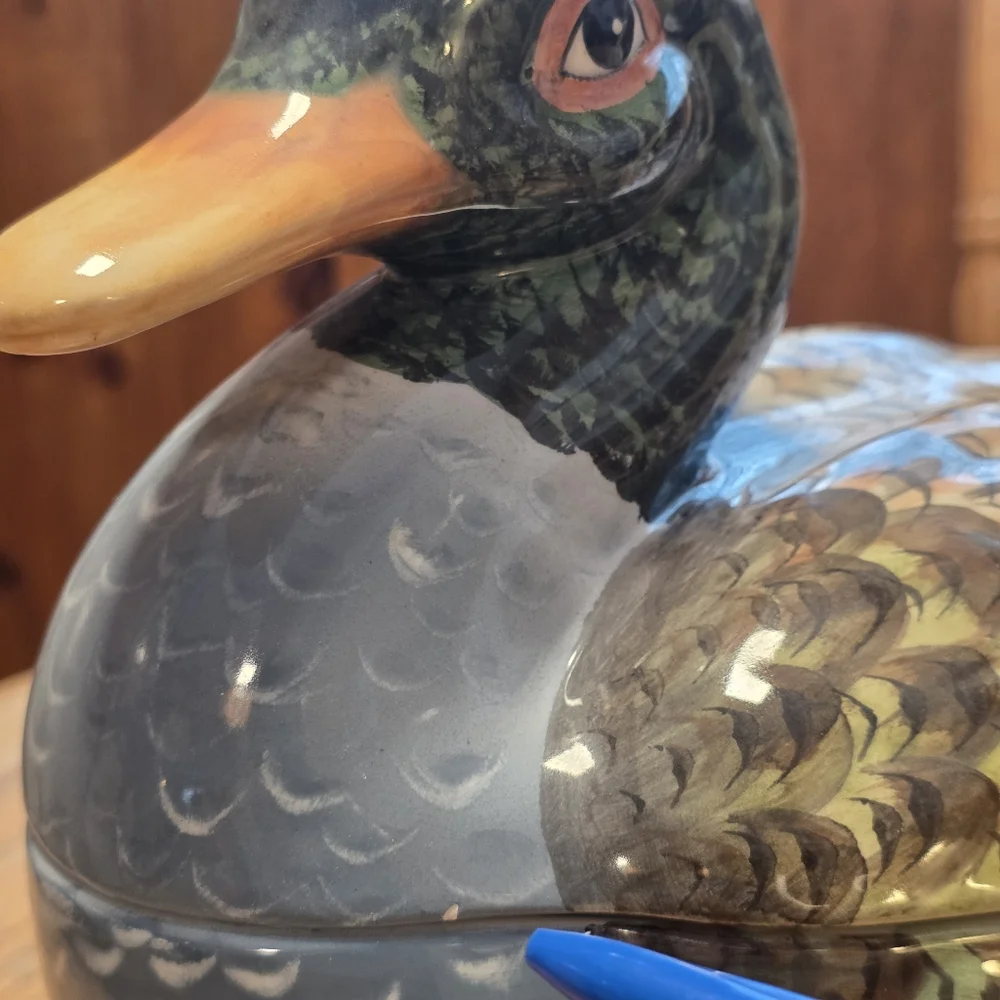 Italian Duck Tureen With Laddle 14
